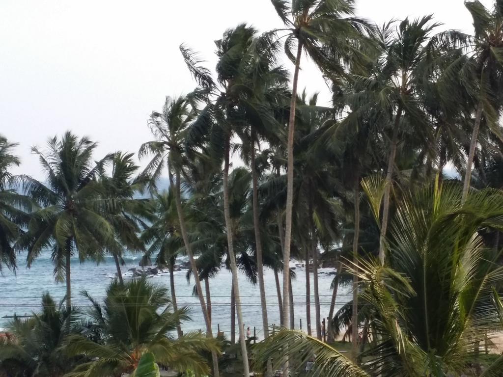 Allan Guest Mirissa Banduramulla المظهر الخارجي الصورة